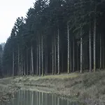 Center Parcs Les Trois Forets Parque de vacaciones Hattigny