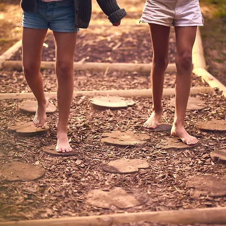 Vakantiepark Center Parcs Les Trois Forets Hattigny