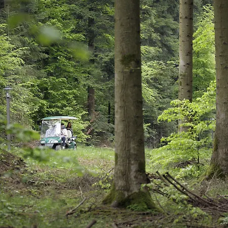 Center Parcs Les Trois Forets Holiday park