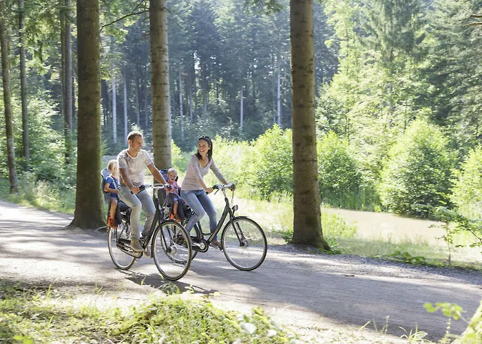 Center Parcs Les Trois Forets 4*