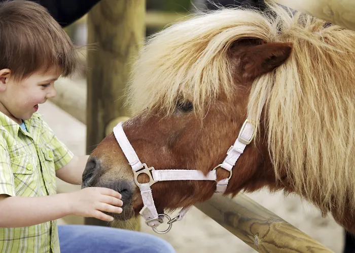Center Parcs Les Trois Forets 阿蒂尼