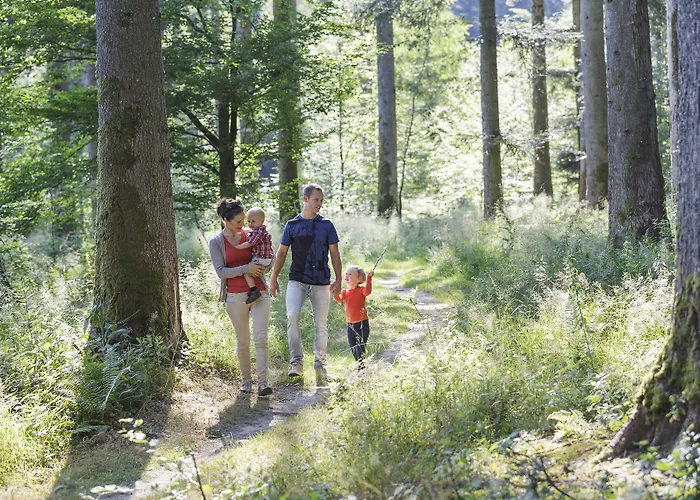 假日公园 Center Parcs Les Trois Forets 4*