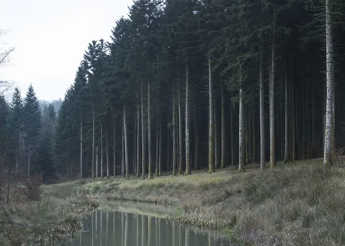 Center Parcs Les Trois Forets 假日公园 阿蒂尼