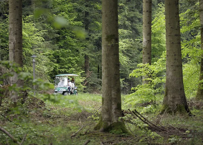 Center Parcs Les Trois Forets 假日公园